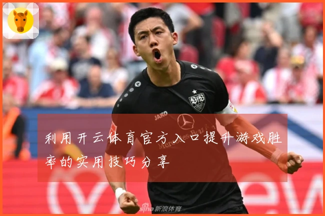 利用开云体育官方入口提升游戏胜率的实用技巧分享