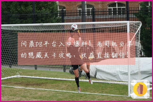 问鼎pg平台入口爆料！老司机分享的隐藏关卡攻略，收益直接翻倍！