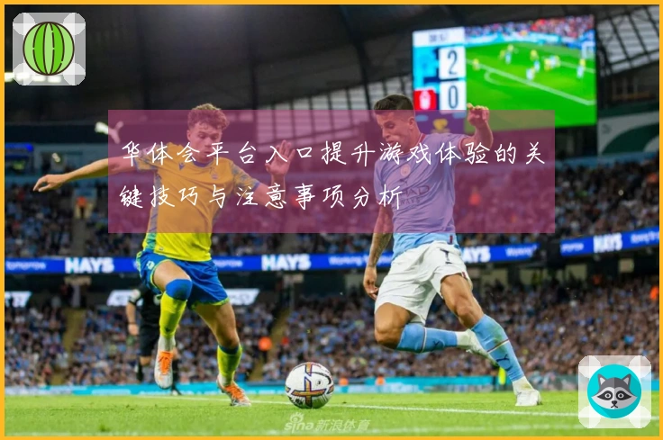 华体会平台入口提升游戏体验的关键技巧与注意事项分析