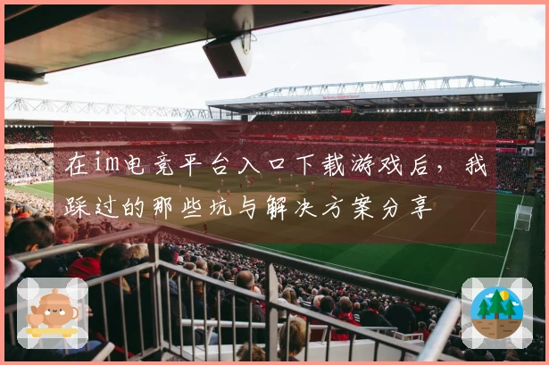 在im电竞平台入口下载游戏后，我踩过的那些坑与解决方案分享